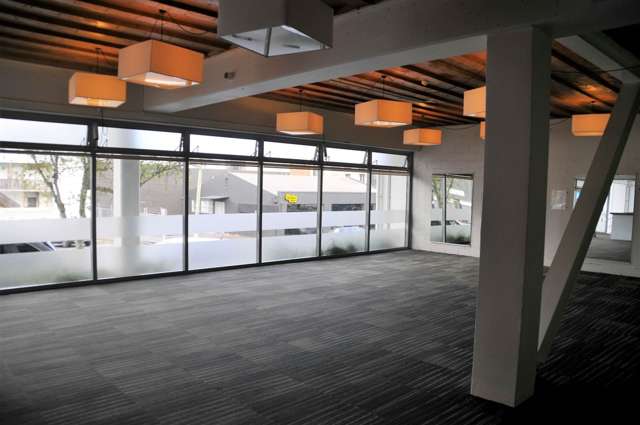17 Maidstone Street Grey Lynn_1