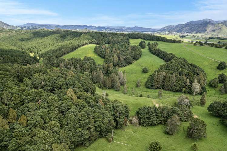 Coxhead Road Parakao_13