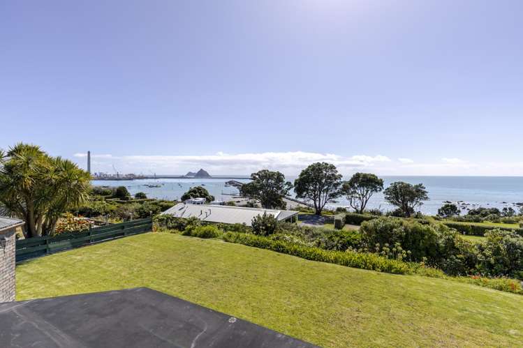 24B Birdwood Avenue Moturoa_27