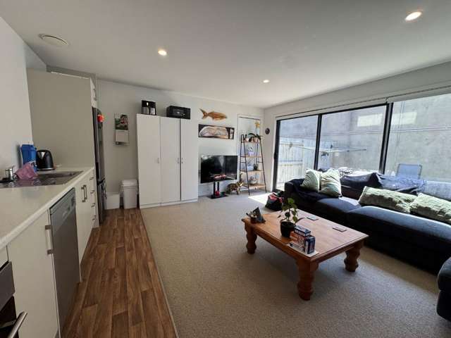 1/17 Owens Place Mount Maunganui_1