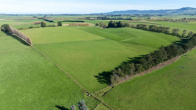 305C Waimumu Road Waimumu_13