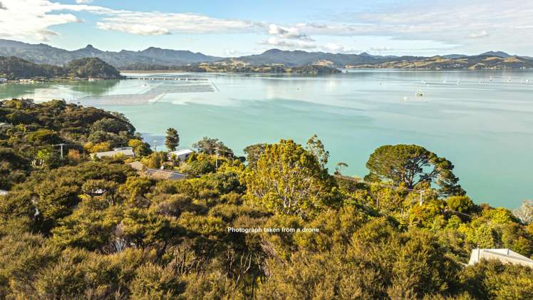 624 Wyuna Bay Road Coromandel_17
