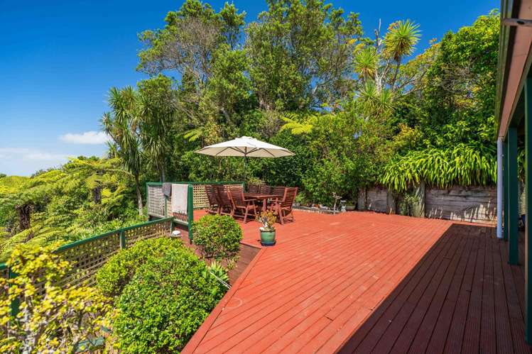 402 Hillsborough Road Mount Roskill_8