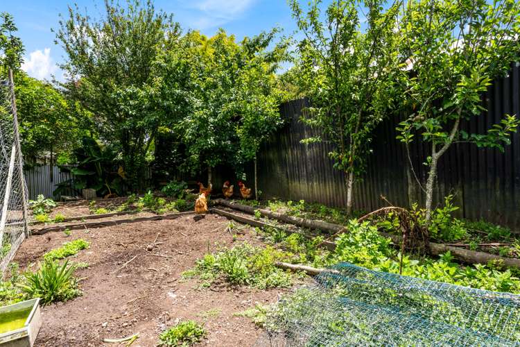 100 George Street Hikurangi_19