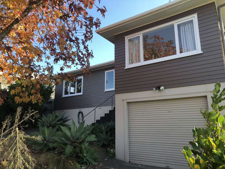 10 Packham Place Beach Haven_0