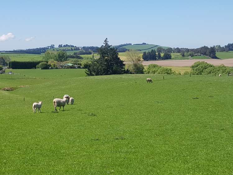 1917 Clinton Highway Clinton and Surrounds_16