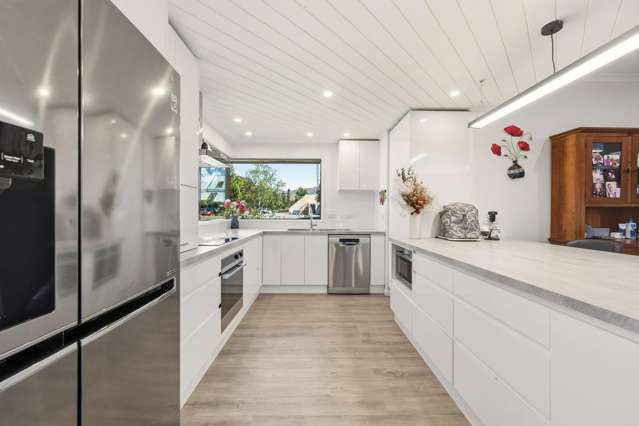 117 Neplusultra Street Cromwell_3