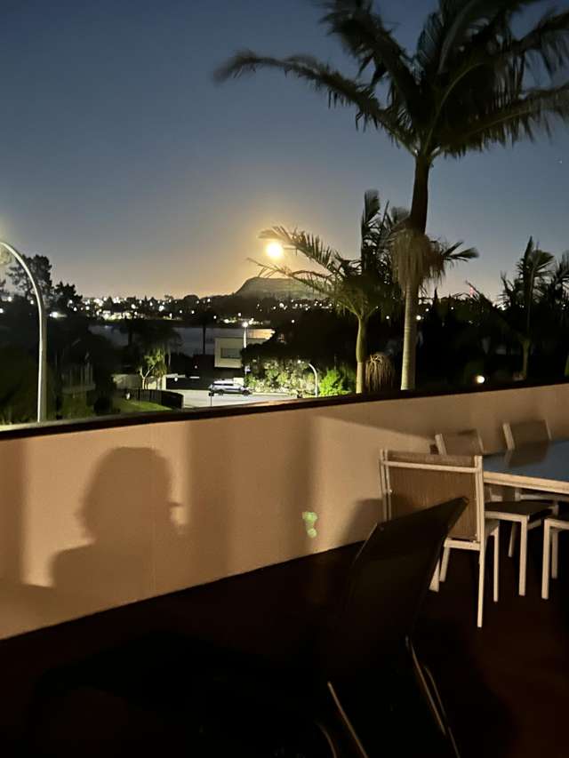 21 Treeway Sunnyhills_4