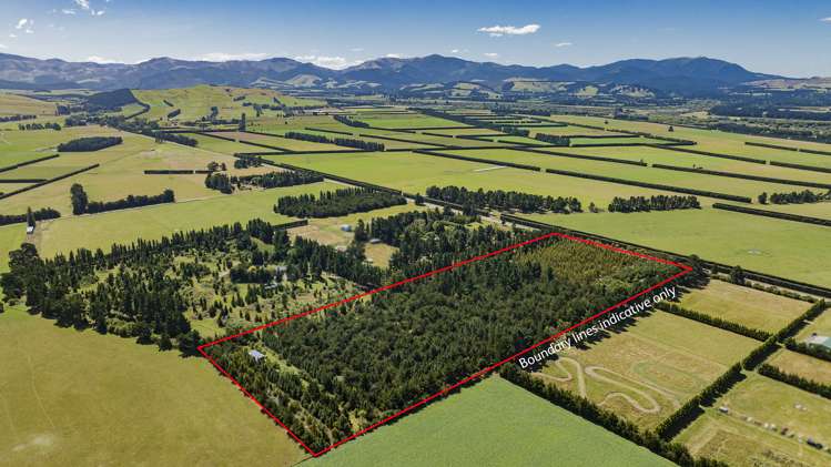 337 Foothills Road Okuku_20