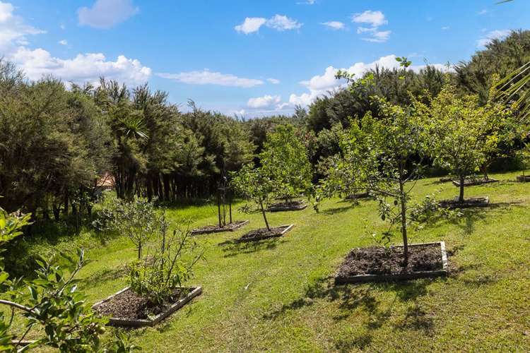 32 Arabella Lane Snells Beach_23