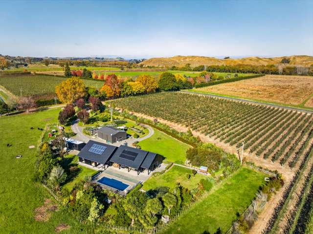 436 Dartmoor Road Puketapu_2