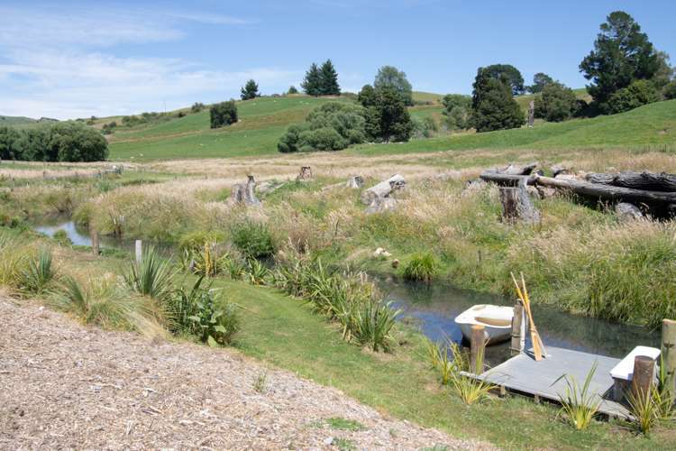 4934 Puketitiri Road Puketitiri_24