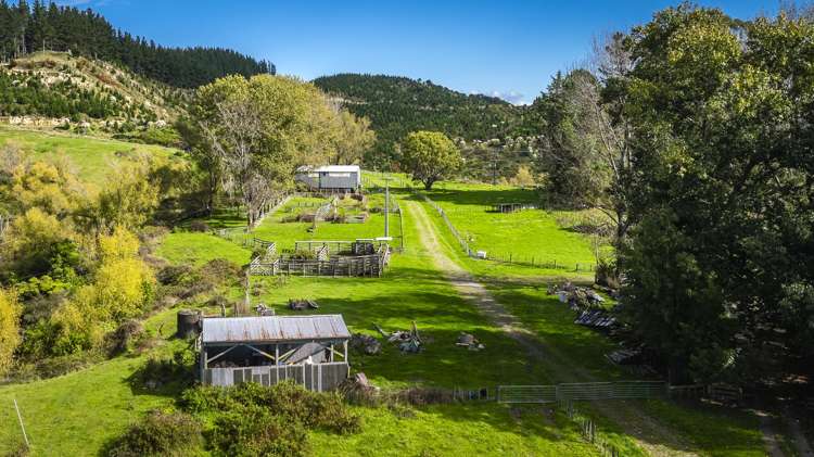 888 Kakariki Farm Road Kotemaori_28