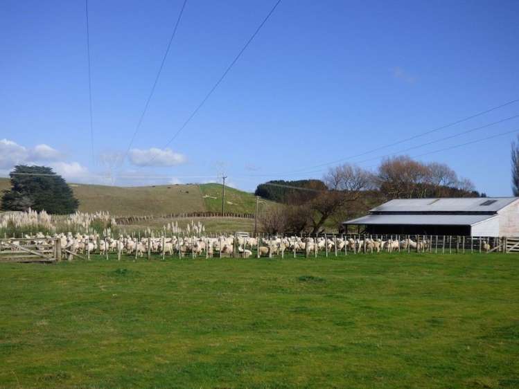 210 Valley Road Bunnythorpe_9