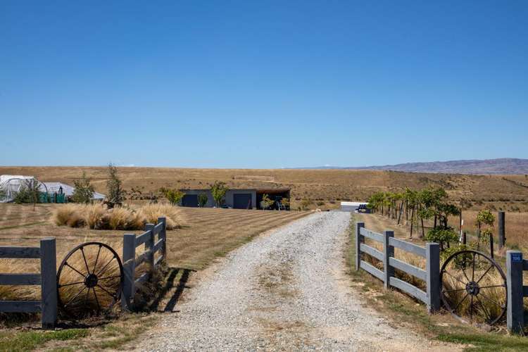 196 Nelsen Ridge Road Alexandra_28