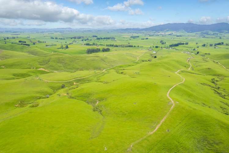 740D Tainui Road Hoe-o-tainui_20