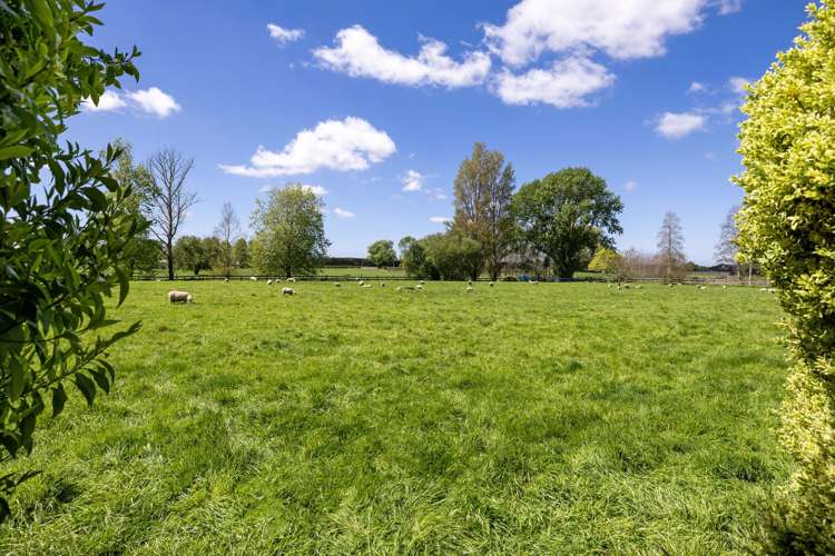 542 Kaipaki Road Ohaupo_31