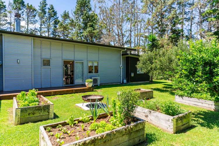 379C Tara Road Mangawhai_23