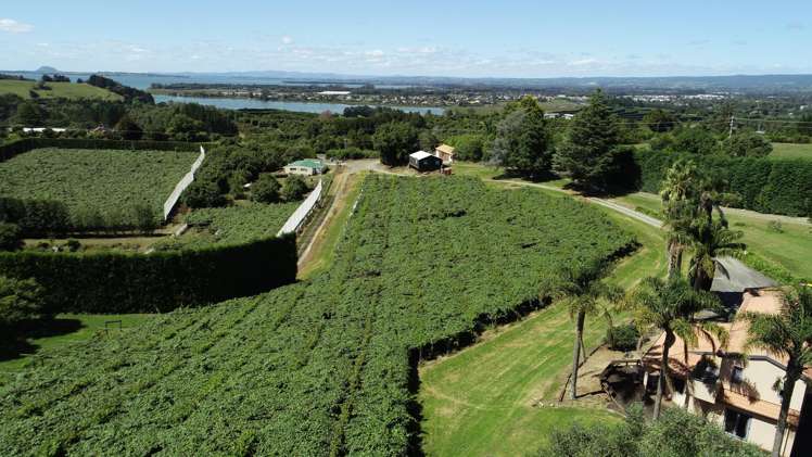 6A Woodland Road Katikati_4
