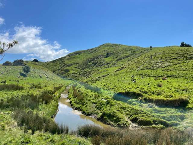 384 Waikakahi Road Pongaroa_1