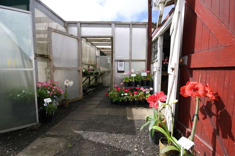 13 Jellicoe Road Manurewa_17