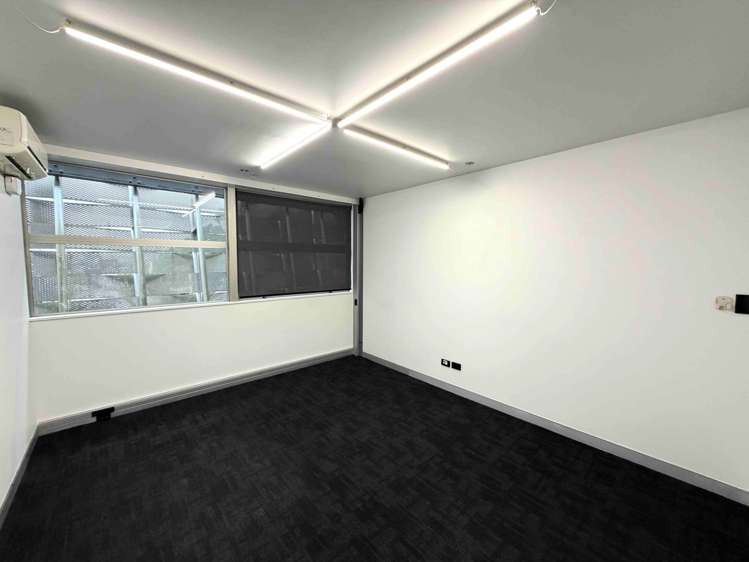 72 Dominion Road Mt Eden_6