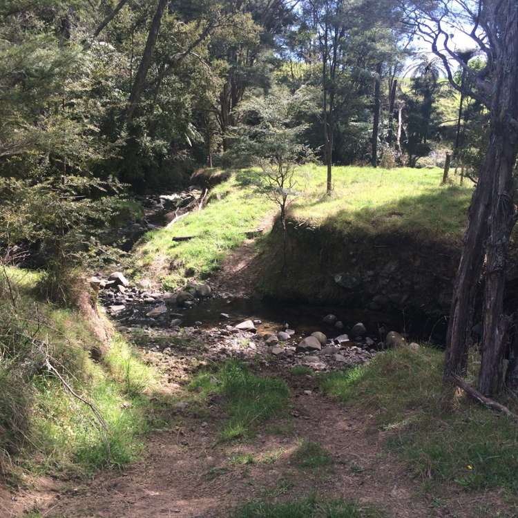 47 Moumoukai Hill Road Ness Valley_17