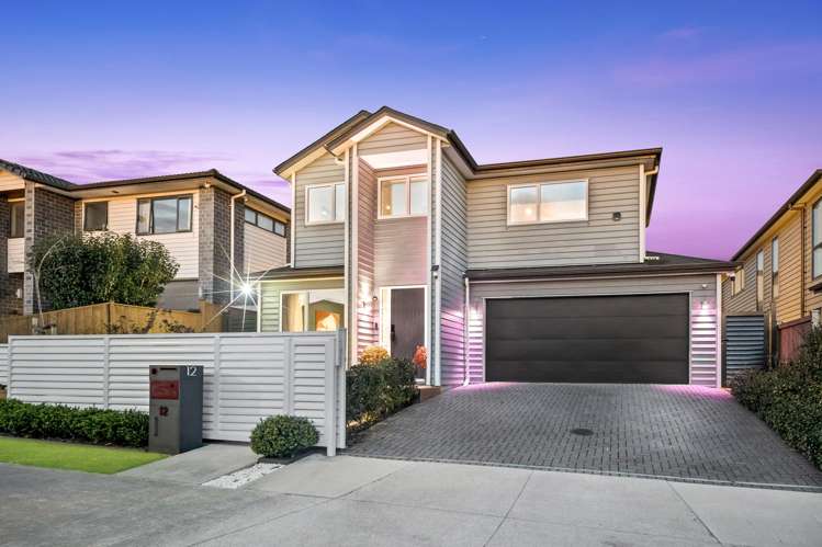 12 Matiki Road Flat Bush_71