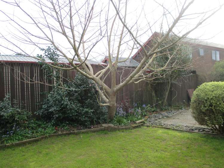 226 Tui Crescent Te Awamutu_15