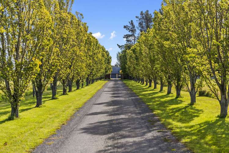 71 Davis Road Cust_1