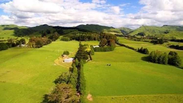 110 Waituna Road Pahiatua_19