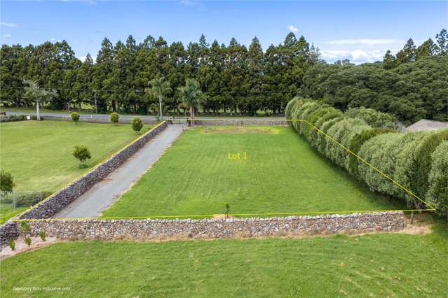 Lots 1-3/31 Millington Road Maunu_3