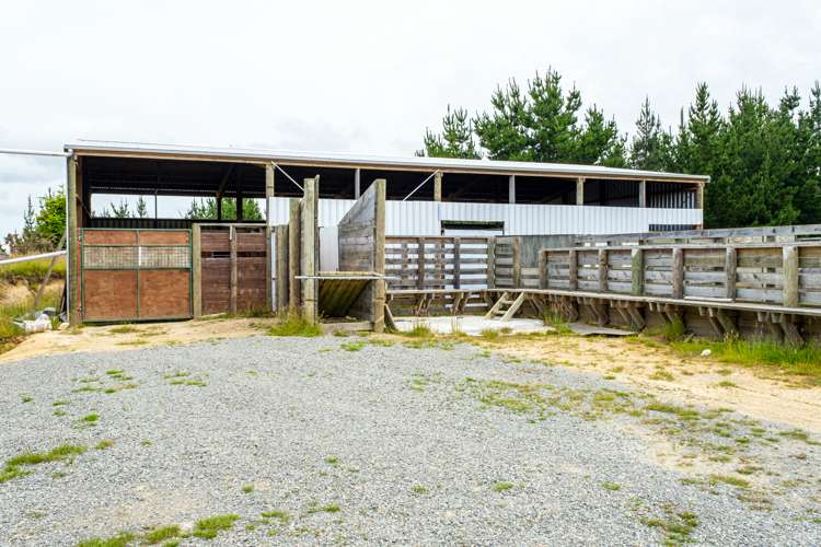 Mcintosh Road Geraldine_6