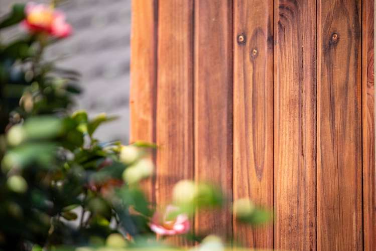 18c Clifton Road Hamilton Central_9