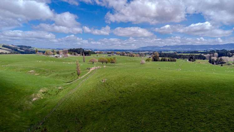 680 Cowper Road Dannevirke_24
