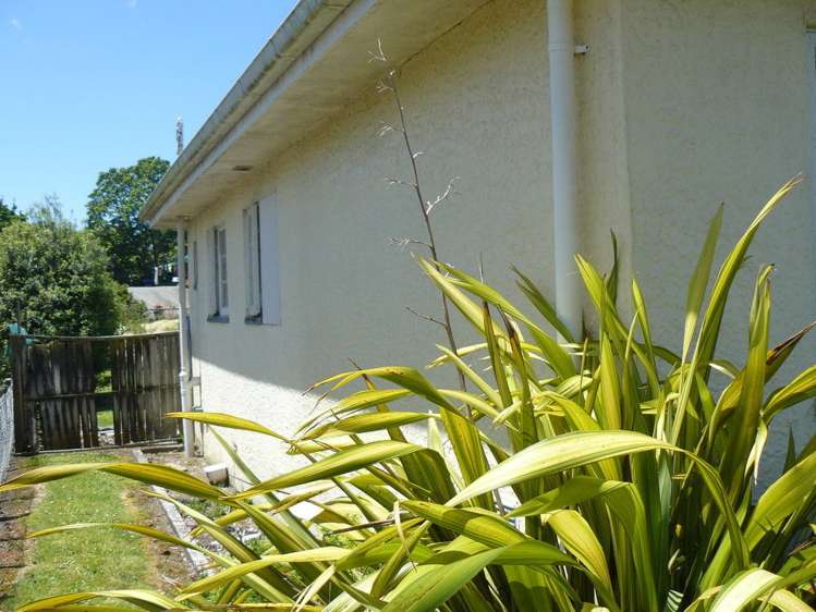 48 Rangitahi Street Otorohanga_5