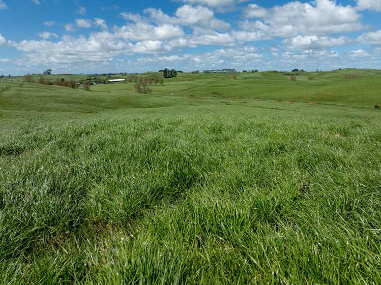 529 Waikokowai Road Huntly_23