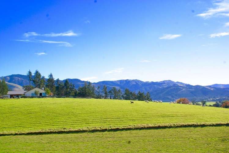 275 Mill Road Waimate_17