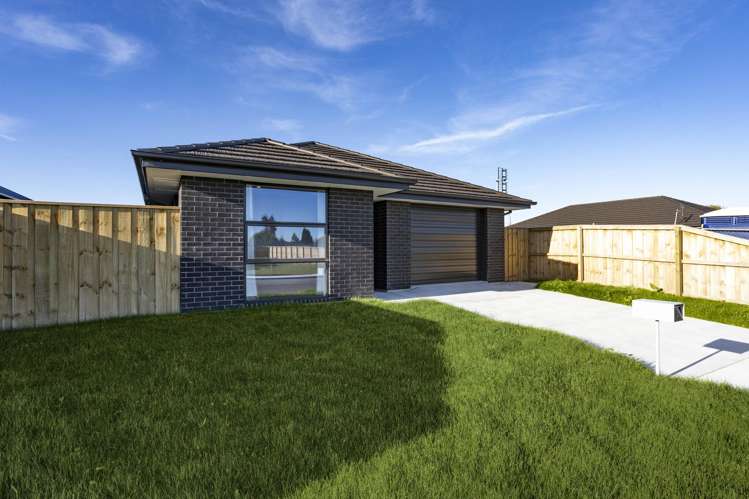 31 Wilkin Road Ravenswood_21