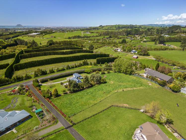 233 Ross Road Whakamarama_24