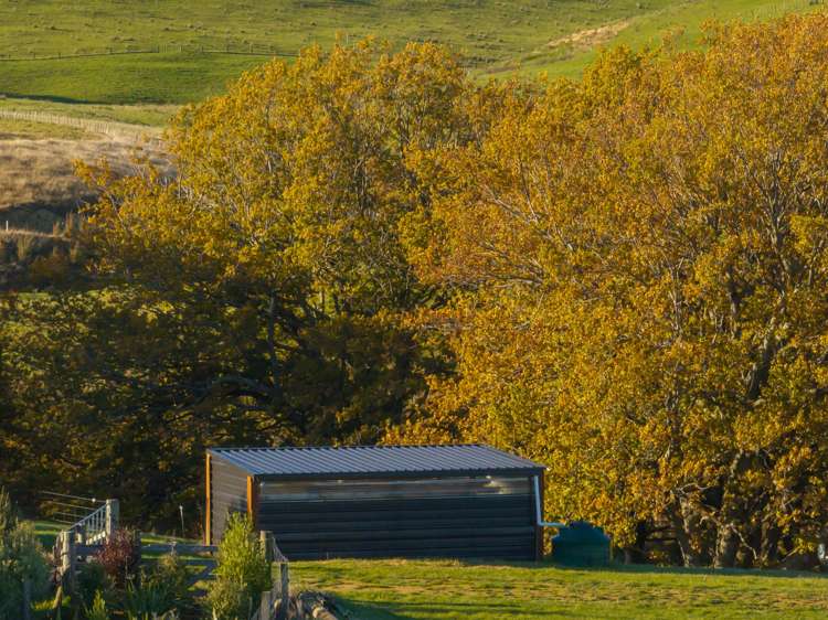 Lot 2 Bluff Rangitumau Road Masterton_16