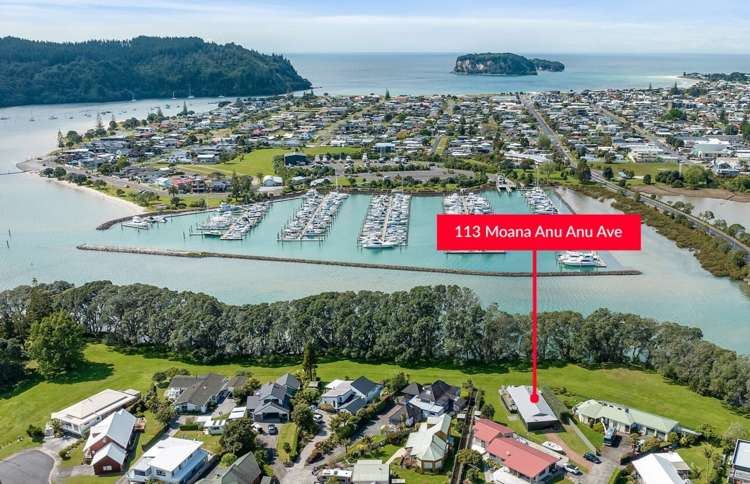 113 Moana Anu Anu Ave_0