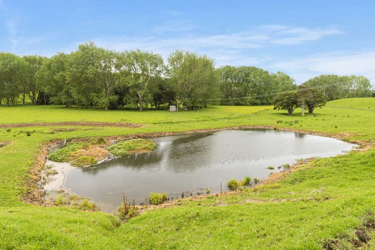 1371 Waihue Road Dargaville Surrounds_24