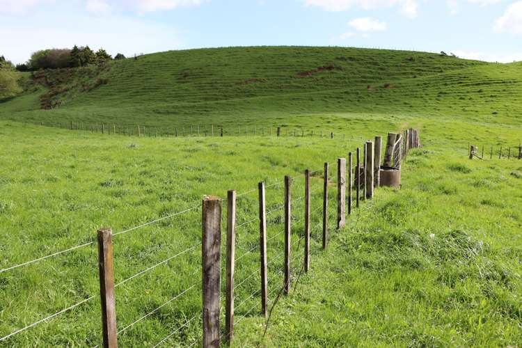 Lt2/310 Henwood Road Bell Block_2