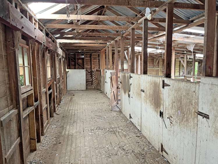 107 Balmoral Road Livingstone_7