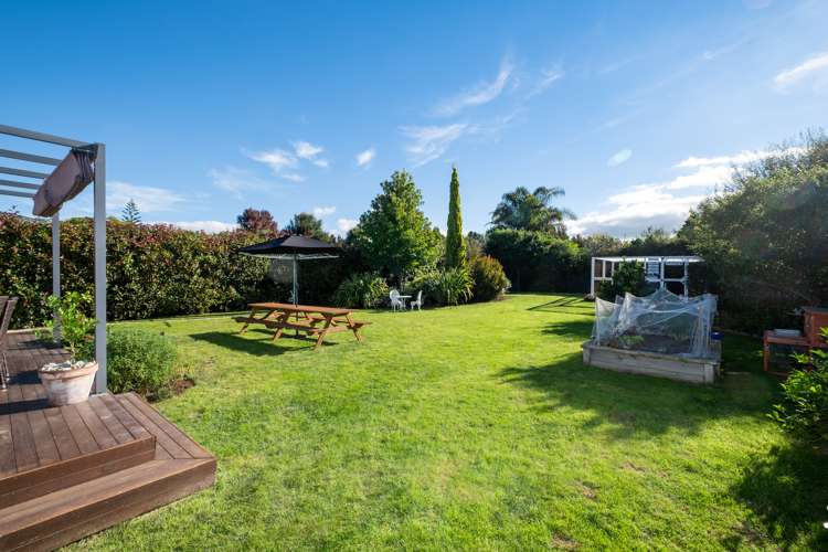 21 Napier Street Jervoistown_16