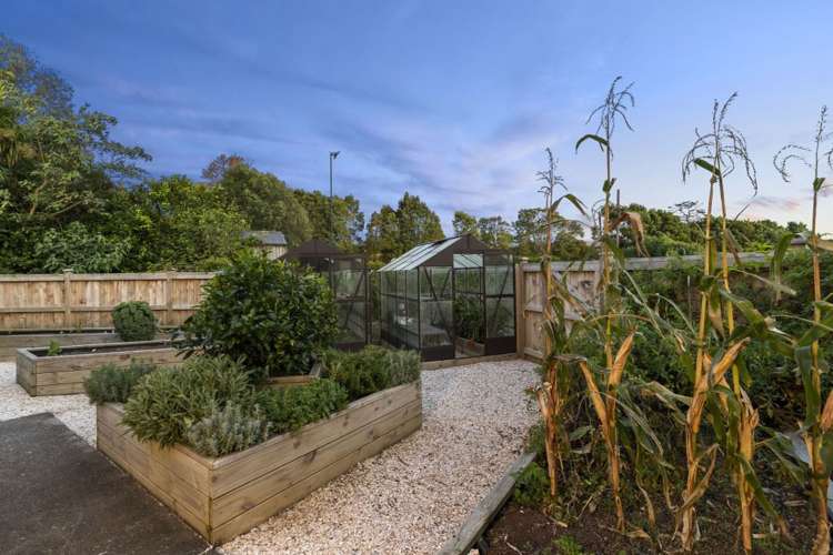 375b Coatesville-Riverhead Highway Coatesville_13