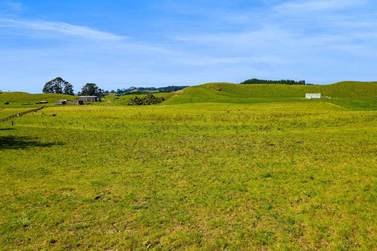 0n Mangorei Road New Plymouth_10