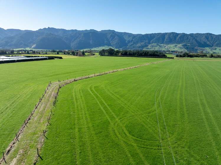 Maiseys Road Matamata_8