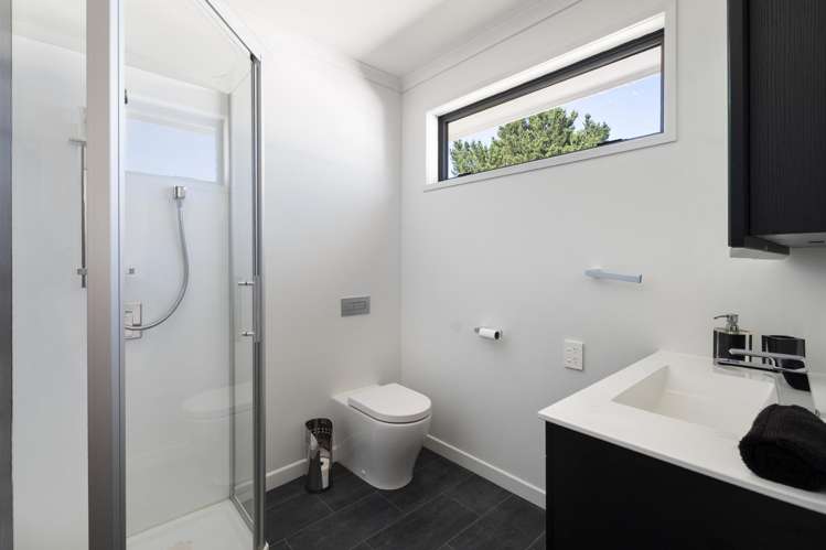 22 Ward Street Bulls_7